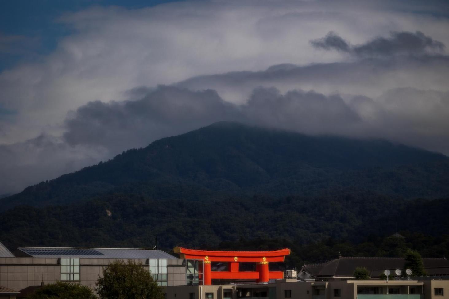 ホテル 東山 四季花木